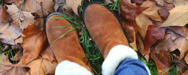 bottes